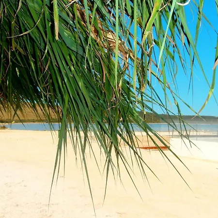 Apartment Family Friendly With A Swimming Pool Ljubac, Zadar - 21937 Razanac